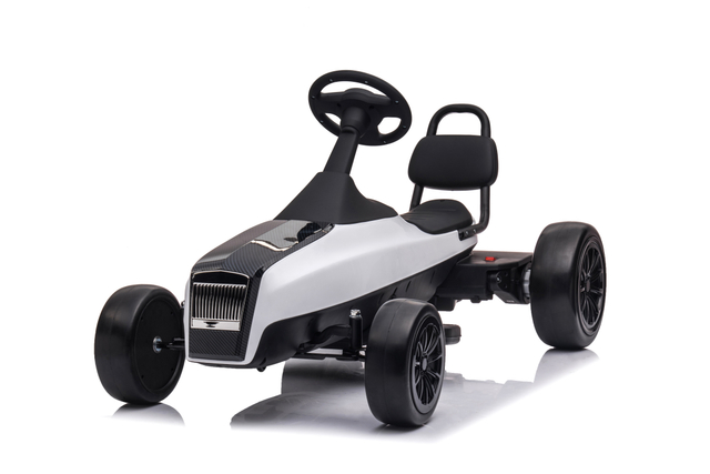 Go kart elettrici per bambini a doppio motore 24V